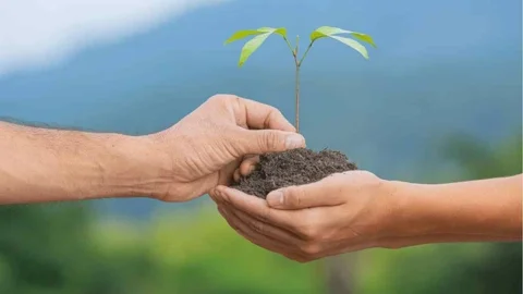 Persona orando con esperanza durante tiempos difíciles en una iglesia cristiana en Bogotá Colombia